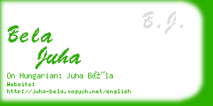 bela juha business card